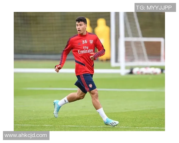 马丁内利的崛起之路：从青涩小将到足坛新星的传奇故事